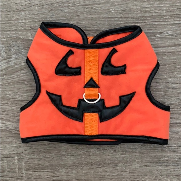 🎉🎉 HOST PICK 🎉🎉 Pumpkin Dog Harness Costume